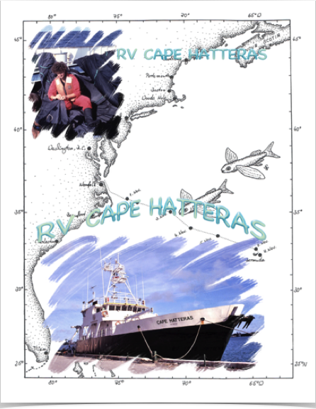 Oceanographic research expedition onboard 
RV CAPE HATTERAS in Sargasso Sea.
